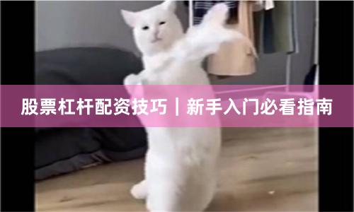 股票杠杆配资技巧｜新手入门必看指南