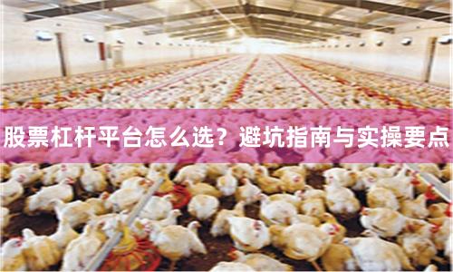 股票杠杆平台怎么选？避坑指南与实操要点